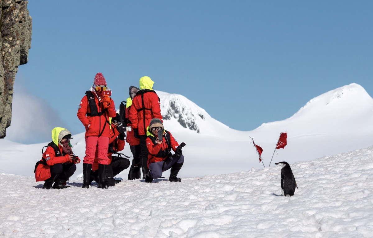 Antarctica Highlights with Hurtigruten