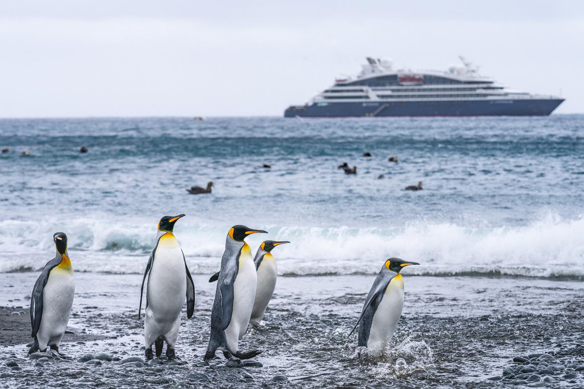 Three of the Best Ponant Expedition Cruises