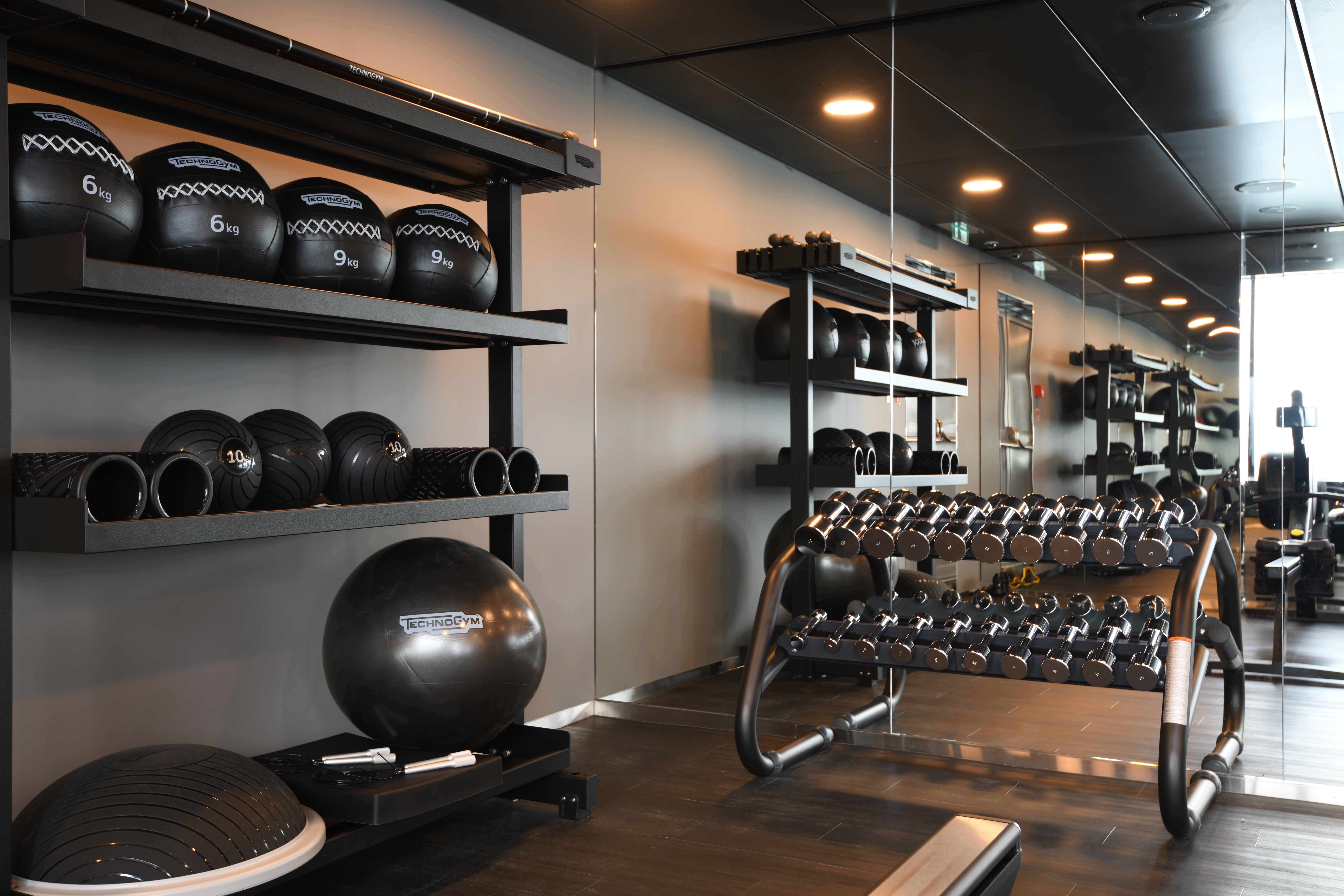 The gym