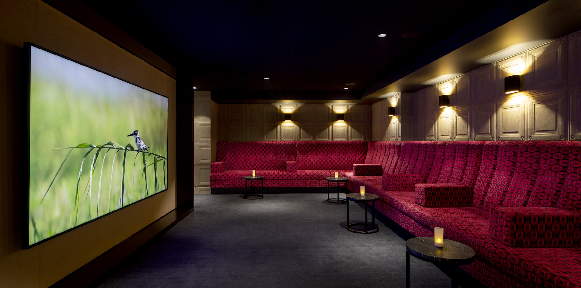 The cinema