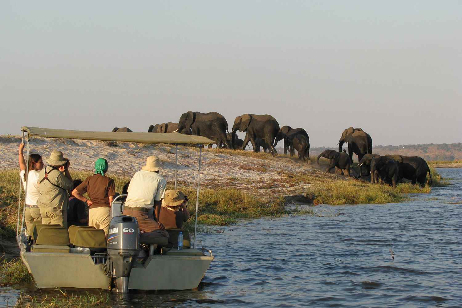 Viewing the wildlife by venturing out on private safari boat