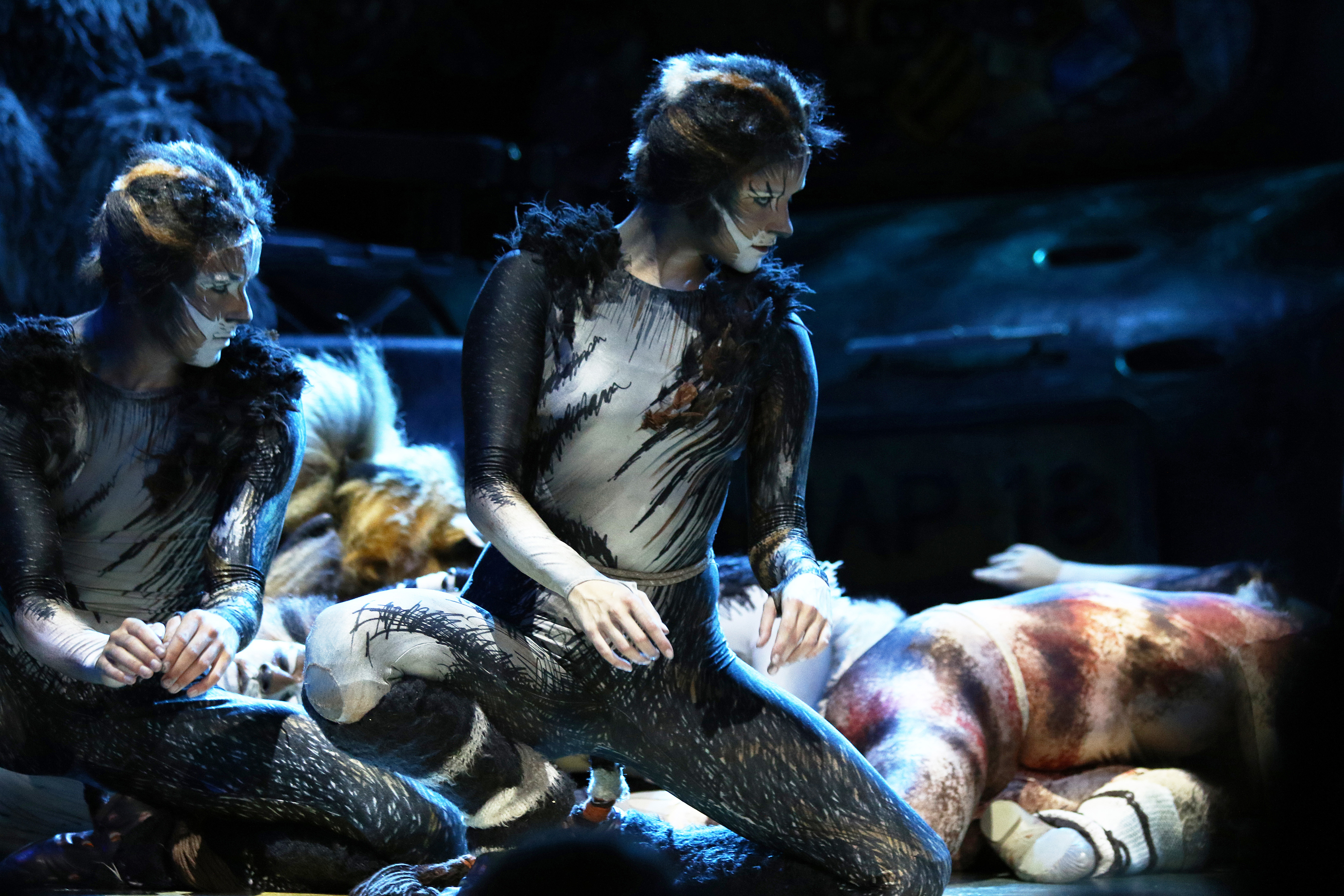 Enjoy a 90 minute long, no expense spared performance of Cats