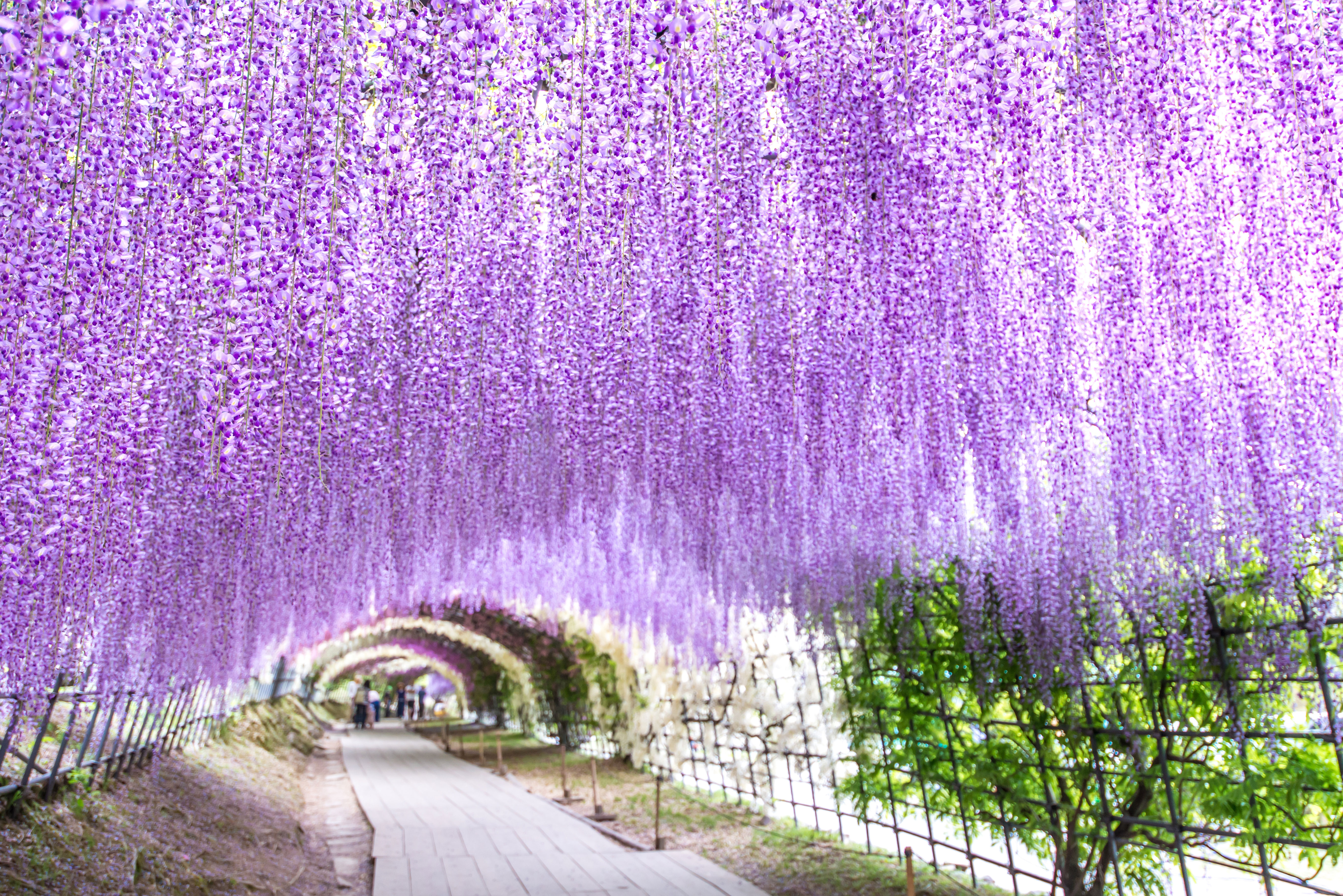 Fukuoka (Hakata), Japan
