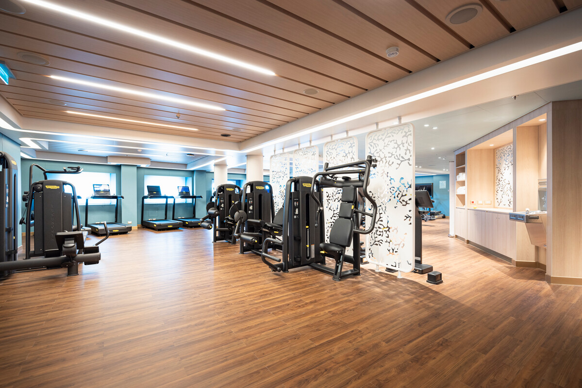 The Gym