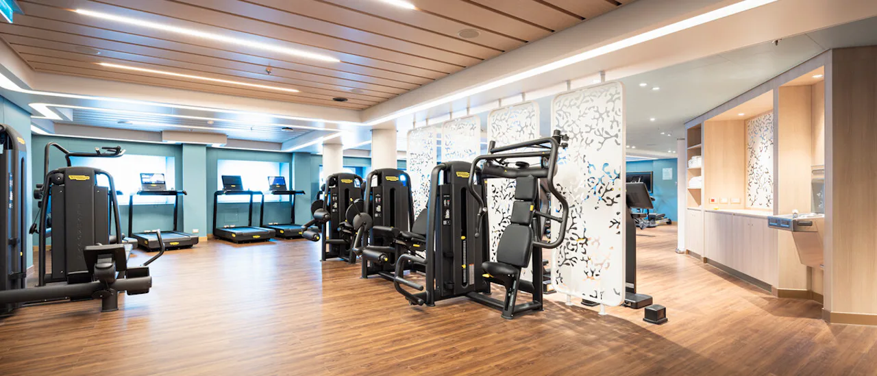The Gym