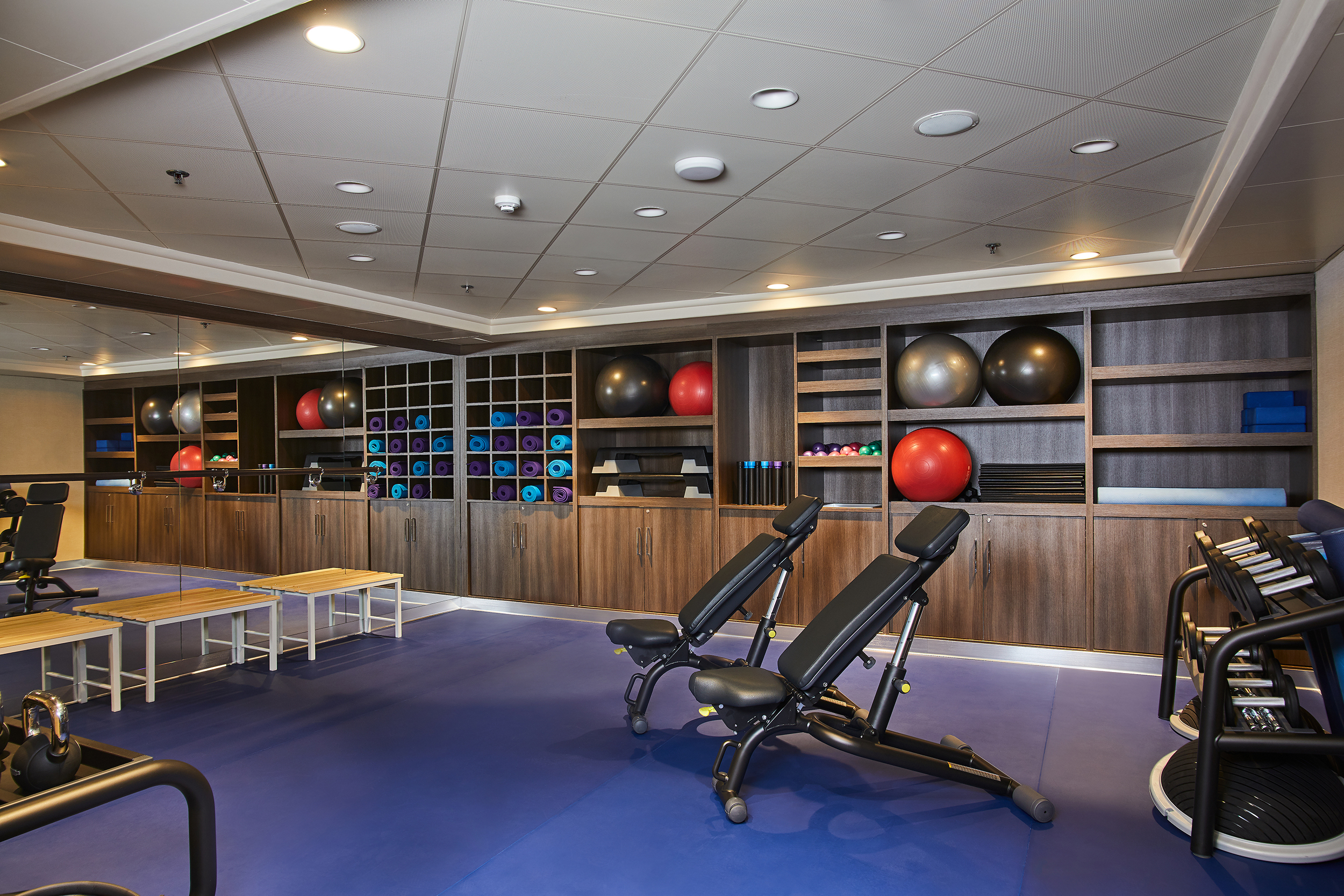 The gym