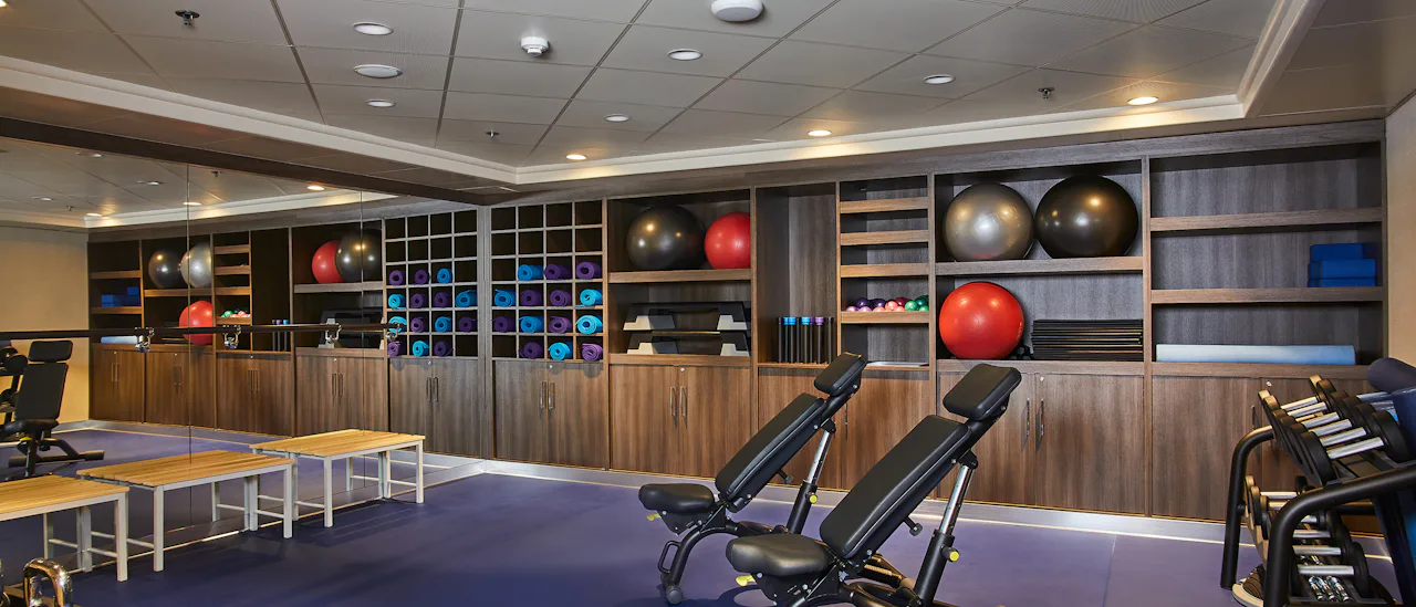 The gym