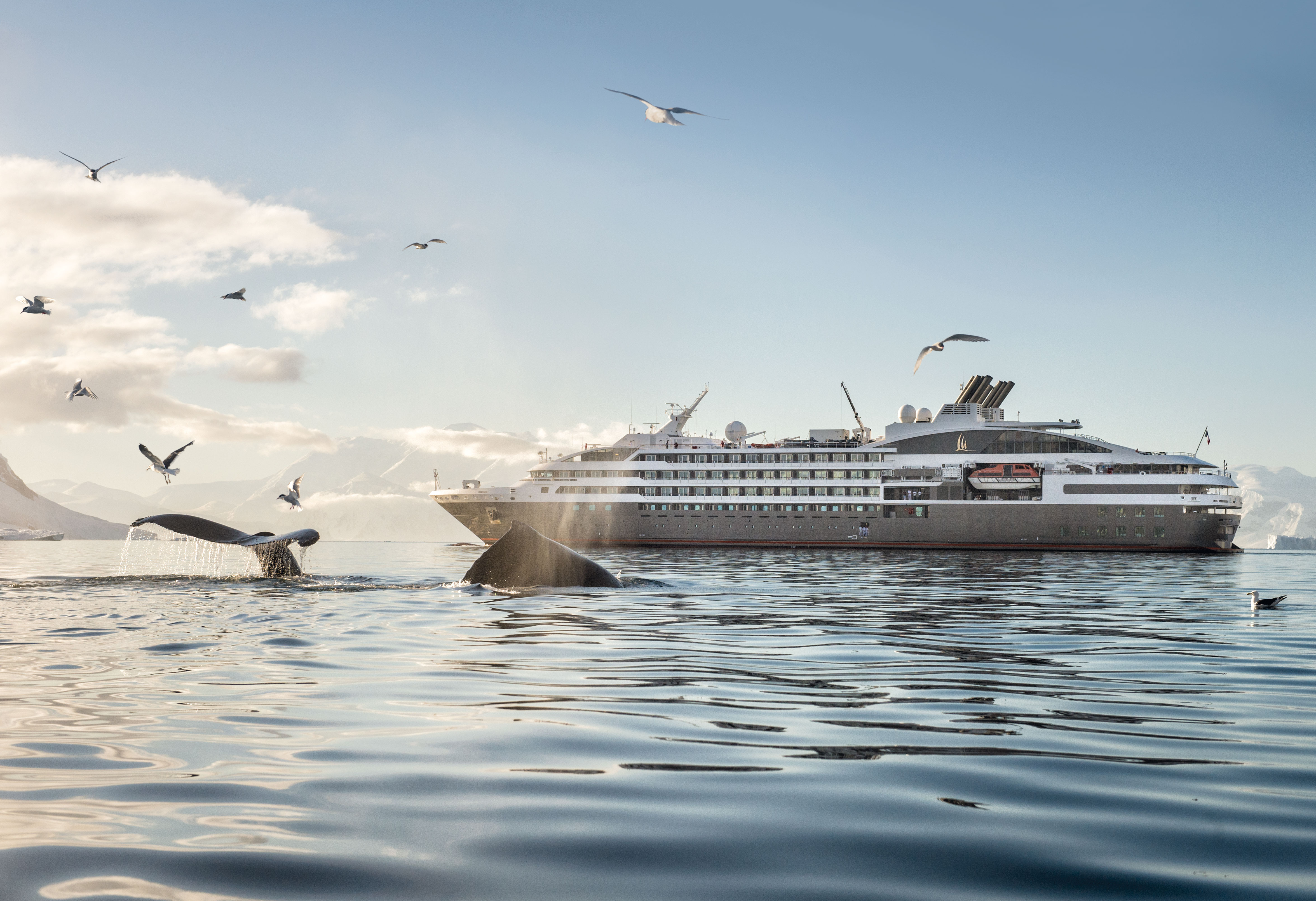 Le Soléal is equipped with a reinforced hull suitable for exhibition cruises to Antartica, Svalbard and other exotic destinations