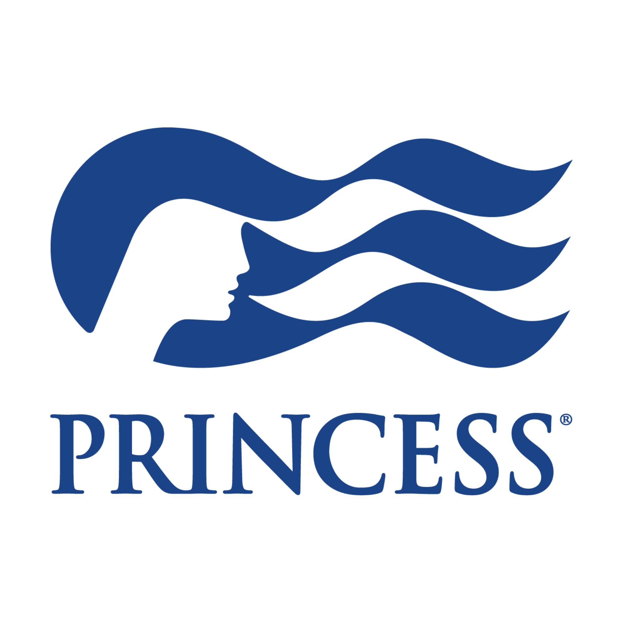 Princess Cruises Black Friday Offer