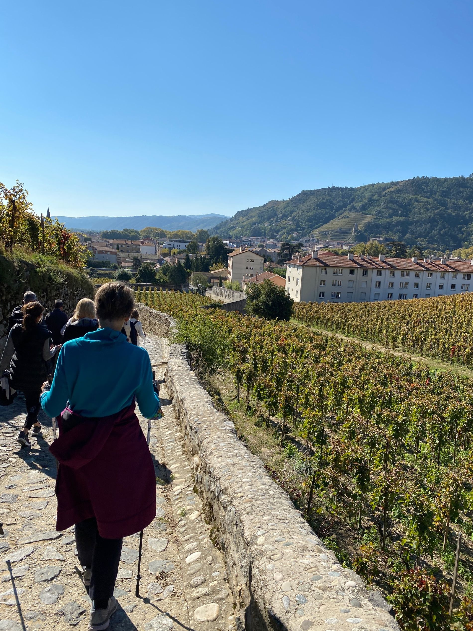 Uniworld Wine Experience ashore