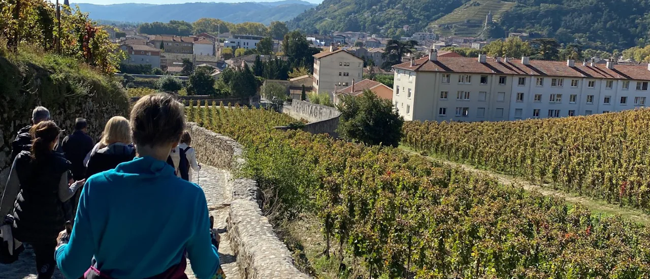 Uniworld Wine Experience ashore