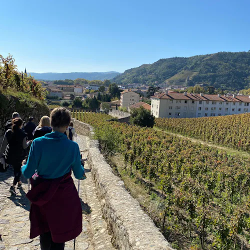 Uniworld Wine Experience ashore