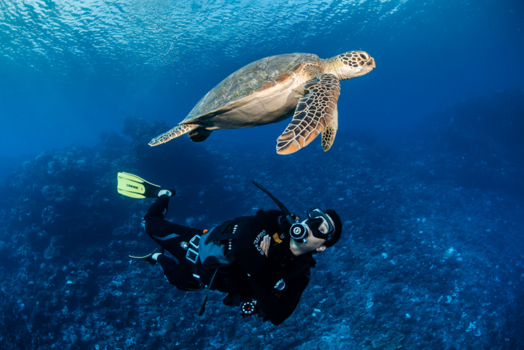 Image courtesy of Tahiti Tourisme/ Frederique Legrande