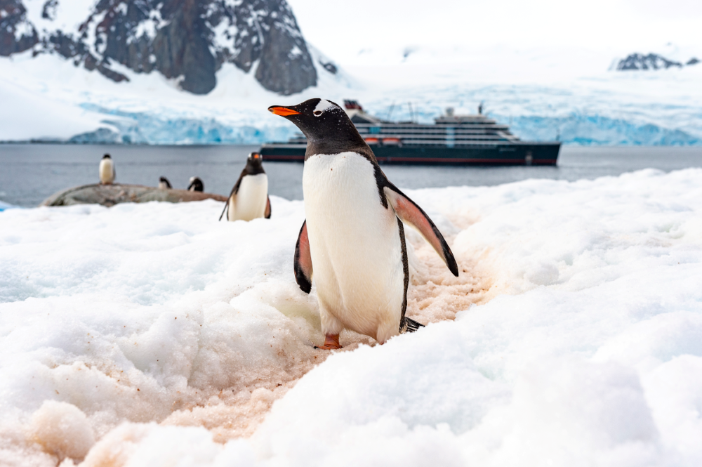 Seabourn Venture at Petermann Island Antarctica