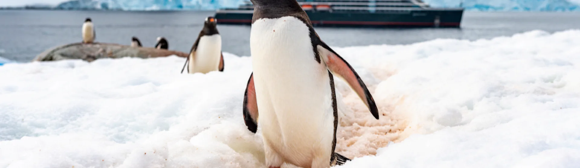 Seabourn Venture at Petermann Island Antarctica