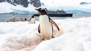 Seabourn Venture at Petermann Island Antarctica