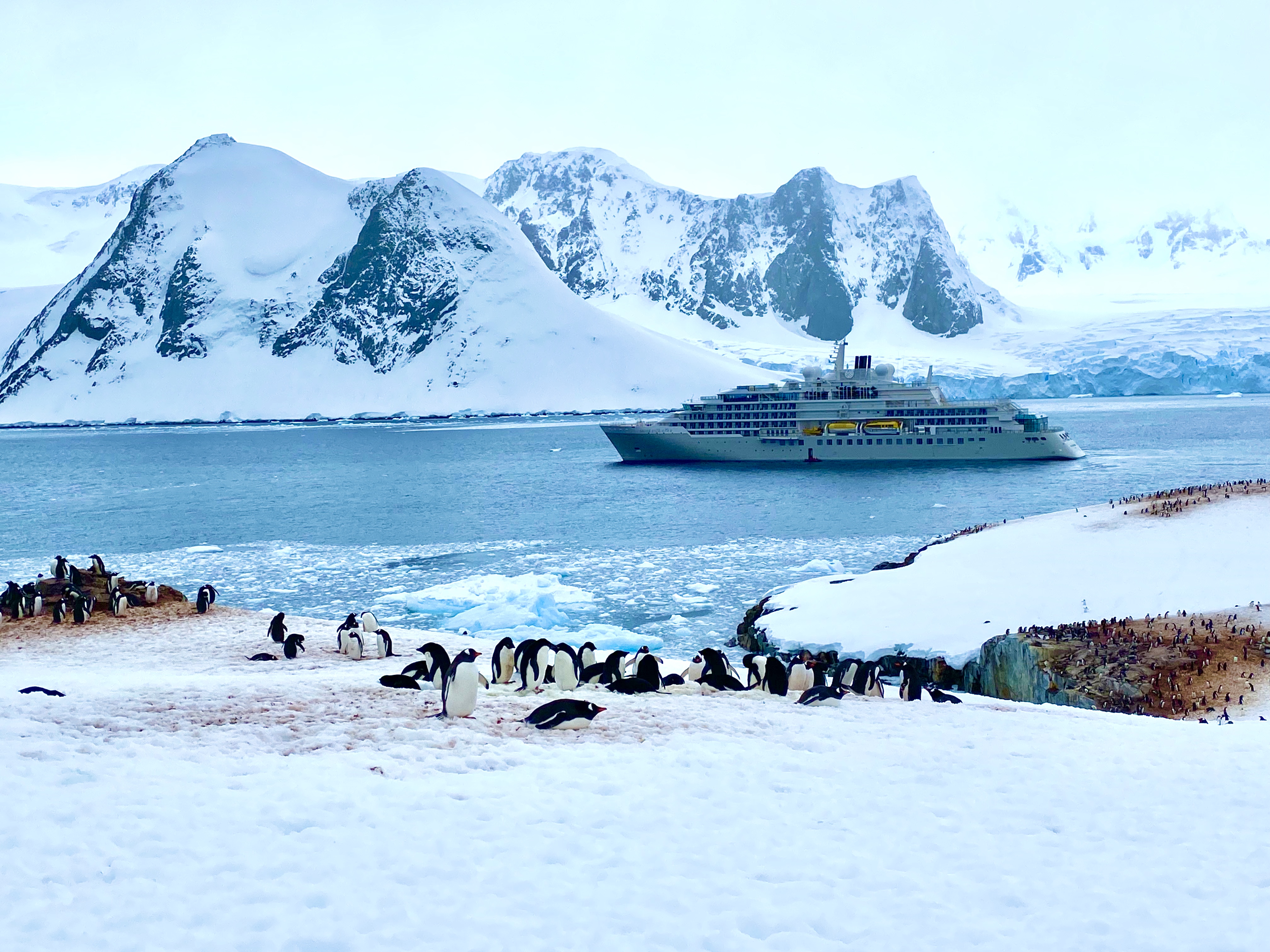 Silver Endeavour in Antarctica, image courtesy Jeff Leckey