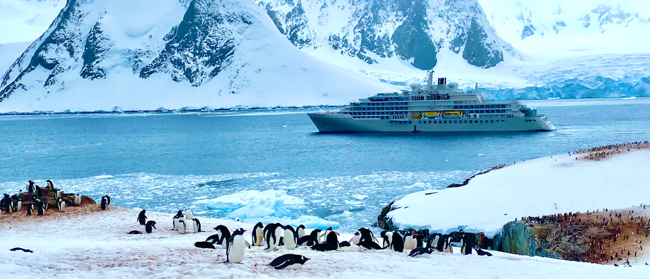 Silver Endeavour in Antarctica, image courtesy Jeff Leckey
