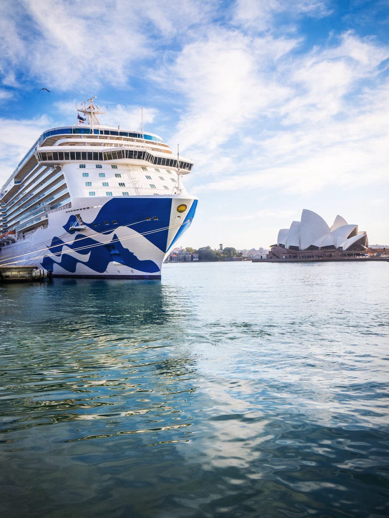 Majestic Princess in Sydney Harbour