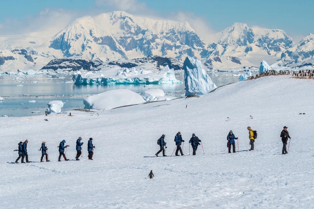Trekking in Antarctica