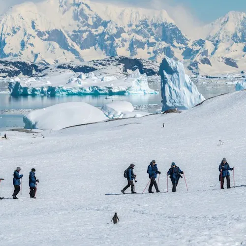Trekking in Antarctica
