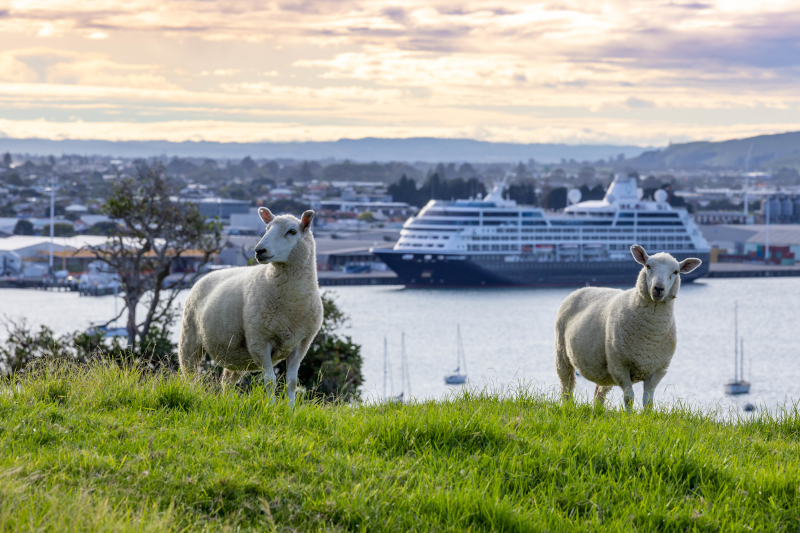 Azamara from Mount Maunganui - Image courtesy Tim Skinner