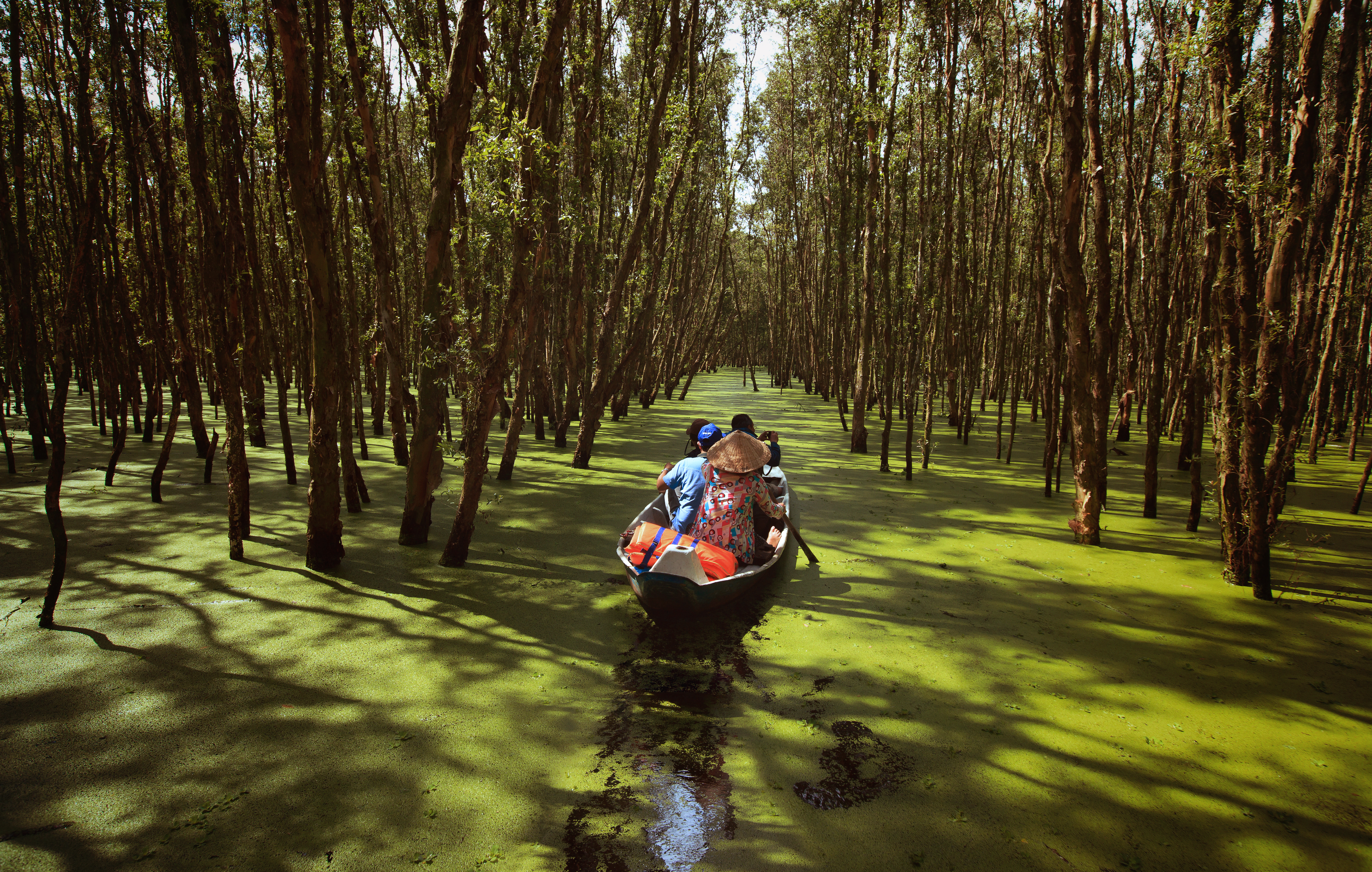 Riches of the Mekong
