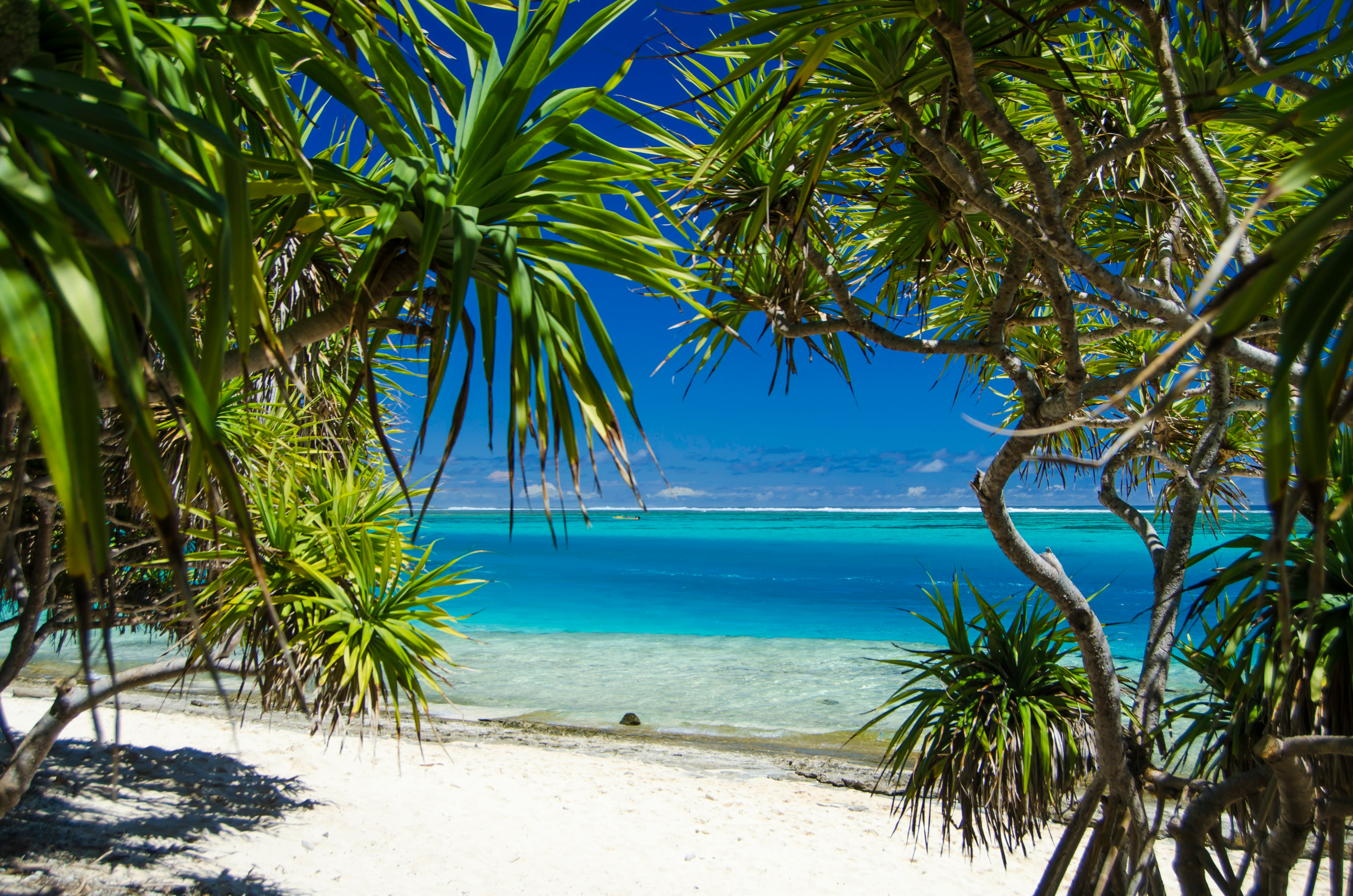 ANZAC SYDNEY TO FIJI with Flights, Sydney Stay & 11-night South Pacific Norwegian Spirit Cruise