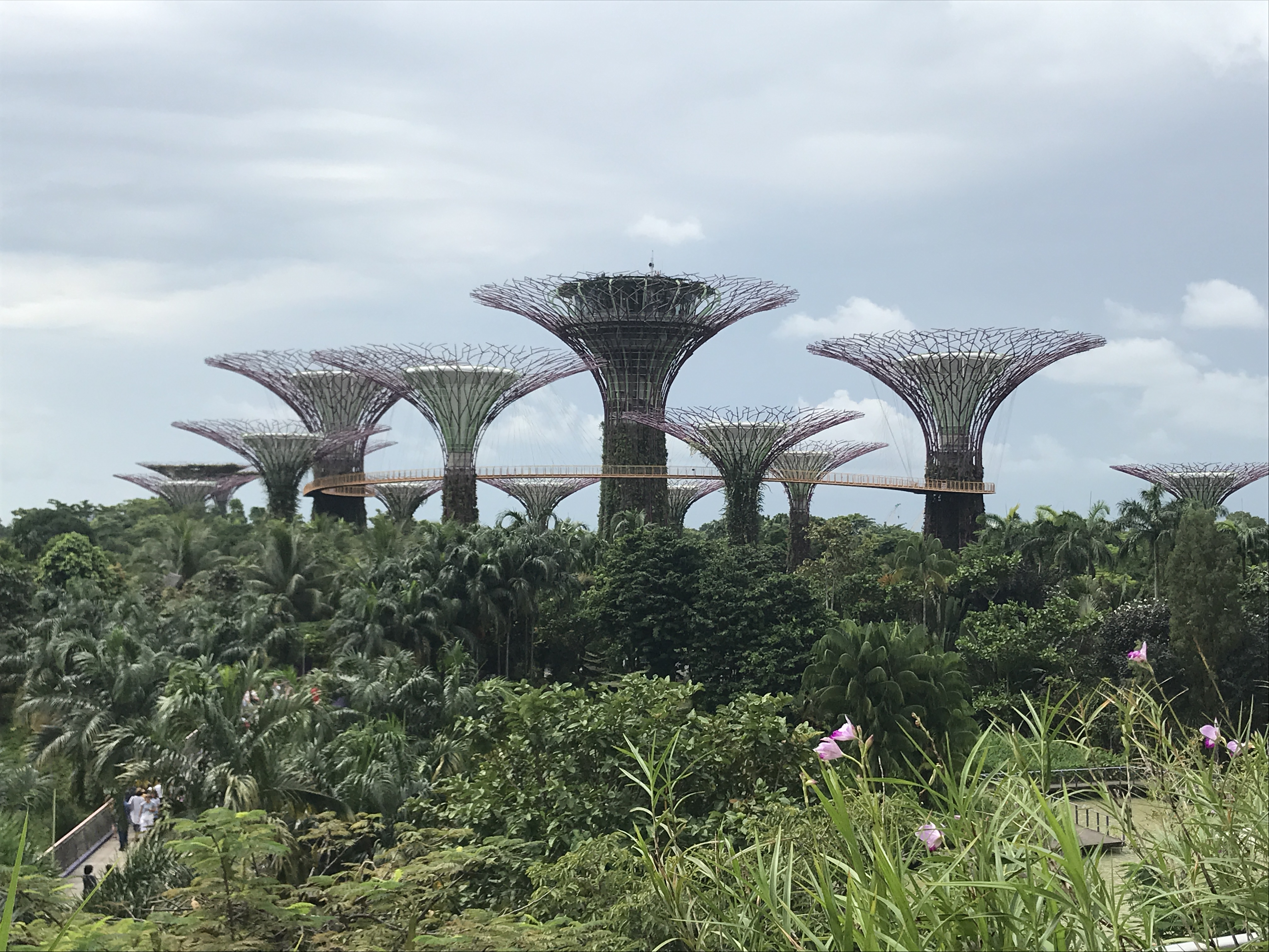 TASTES OF ASIA CRUISE with Flights, Singapore Stay & Asia Island Hopper cruise