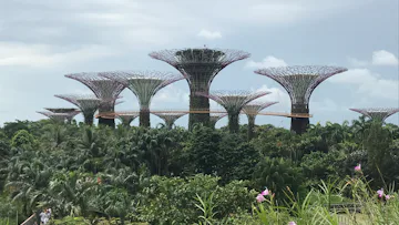 TASTES OF ASIA CRUISE with Flights, Singapore Stay & Asia Island Hopper cruise